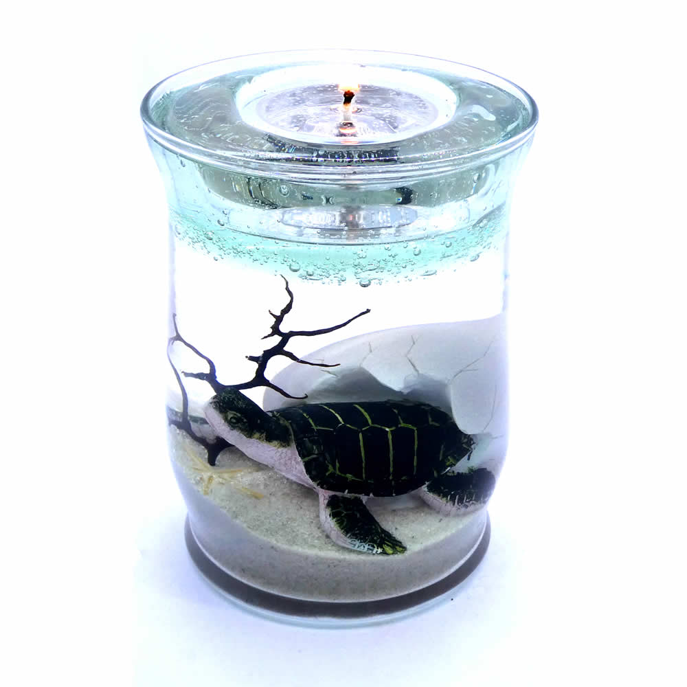 Sea Turtle Hatchling Forever Gel Candle With 4 Pack Tea Lights