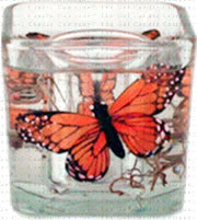 Butterfly Gel Candle - Orange