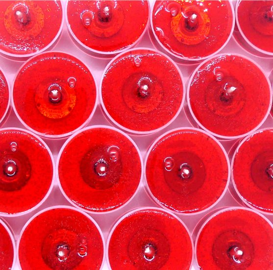 (image for) Apple Cinnamon Scented Gel Candle Tea Lights - 24 pk.
