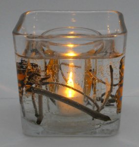 (image for) Flameless Colorful Butterfly Forever Gel Candle
