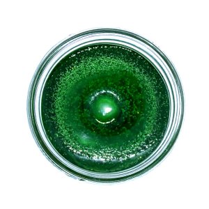 (image for) Christmas Tree 90 Hour Gel Candle Classic Jar