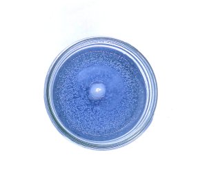 (image for) Driftwood And Sea Salt 90 Hour Gel Candle Classic Jar