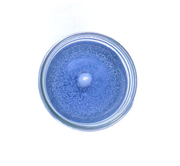 (image for) Driftwood And Sea Salt 90 Hour Gel Candle Classic Jar