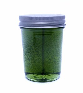 (image for) Patchouli 90 Hour Gel Candle Classic Jar