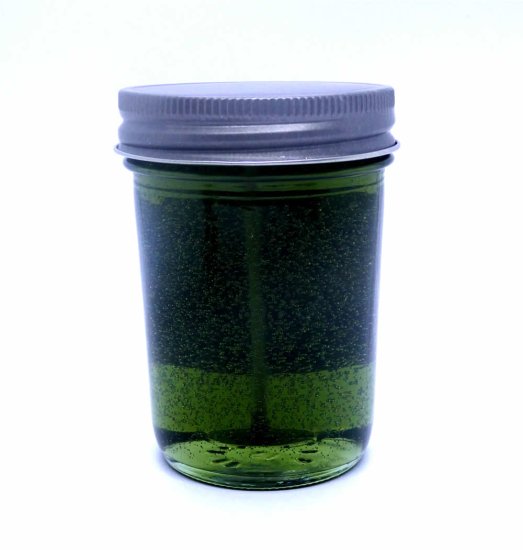 (image for) Patchouli 90 Hour Gel Candle Classic Jar
