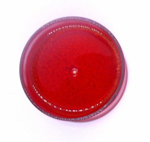 (image for) Mango Papaya Scented Gel Candle up to 120 Hour Deco Jar