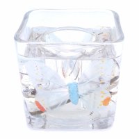 (image for) Flameless Baby Blue Butterfly Forever Gel Candle Design