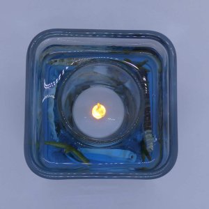 (image for) Blue Ocean Starfishes and Seashells Flameless Gel Candle Design