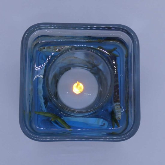 (image for) Blue Ocean Starfishes and Seashells Flameless Gel Candle Design