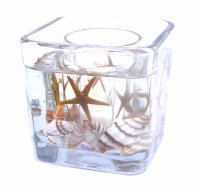 (image for) Natural Starfishes Seashells Flameless Forever Candle Glass Cube