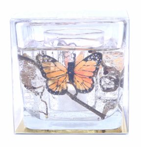 (image for) Flameless Light Orange Butterfly Forever Gel Candle Design Cube