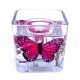 (image for) Flameless Red Pink Butterflies Forever Gel Candle Design Cube