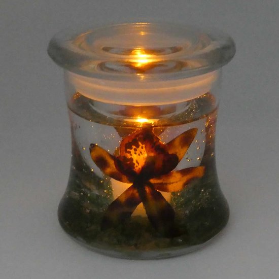 (image for) Flameless Red And Green Orchids Forever Candle Design