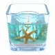 (image for) Flameless Ocean Seafoam Green Starfish Forever Gel Candle - Cube