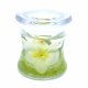 (image for) Flameless White Orchid Forever Candle Design