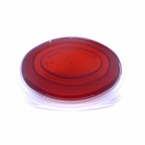 (image for) Coffee House scented Gel Melts™ Gel Wax for warmers - 3 pack