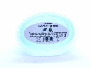 (image for) Eucalyptus scented Gel Melts™ for warmers - 3 pack