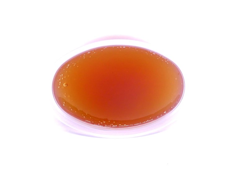 (image for) Salted Caramel scented Gel Melts™ for warmers - 3 pack