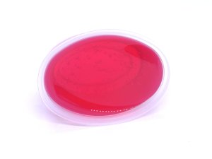 (image for) Stargazer Lily scented Gel Melts™ for warmers - 3 pack