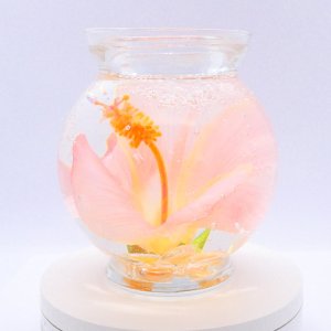 (image for) Coral Hibiscus Flower Design In Flat Top Glass Refillable Forever Gel Candle