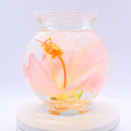 (image for) Coral Hibiscus Flower Design In Flat Top Glass Refillable Forever Gel Candle