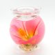 Mauve Color Hibiscus Gel Candle Design In Flat Top Glass Refillable Forever Gel Candle With 4 Pack (image for) Mauve Color Hibiscus Gel Candle Design In Flat Top Glass Refillable Forever Gel Candle With 4 Pack