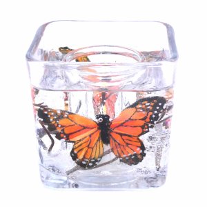 (image for) Flameless Monarch Butterfly Forever Gel Candle Design