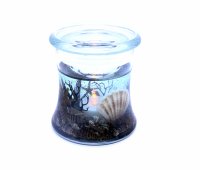 (image for) Fans Of The Sea Flameless Hourglass Design Flameless Forever Candle w/ LED