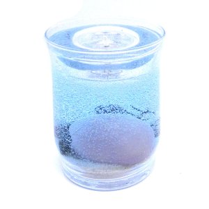 (image for) Sea Turtle Hatchling Forever Gel Candle With 4 Pack Tea Lights