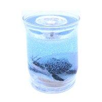 (image for) Sea Turtle Hatchling Forever Gel Candle With 4 Pack Tea Lights