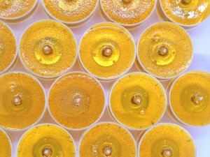 (image for) Orange Blossom Scented Gel Candle Tea Lights - 4 pk.