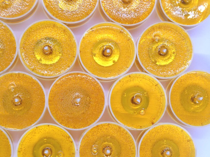 (image for) Orange Blossom Scented Gel Candle Tea Lights - 4 pk.