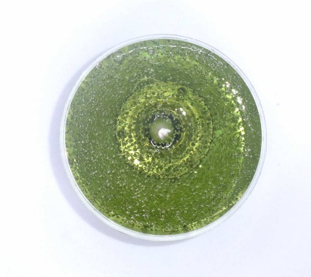 (image for) Patchouli Scented Gel Candle Tea Lights - 4 pk.
