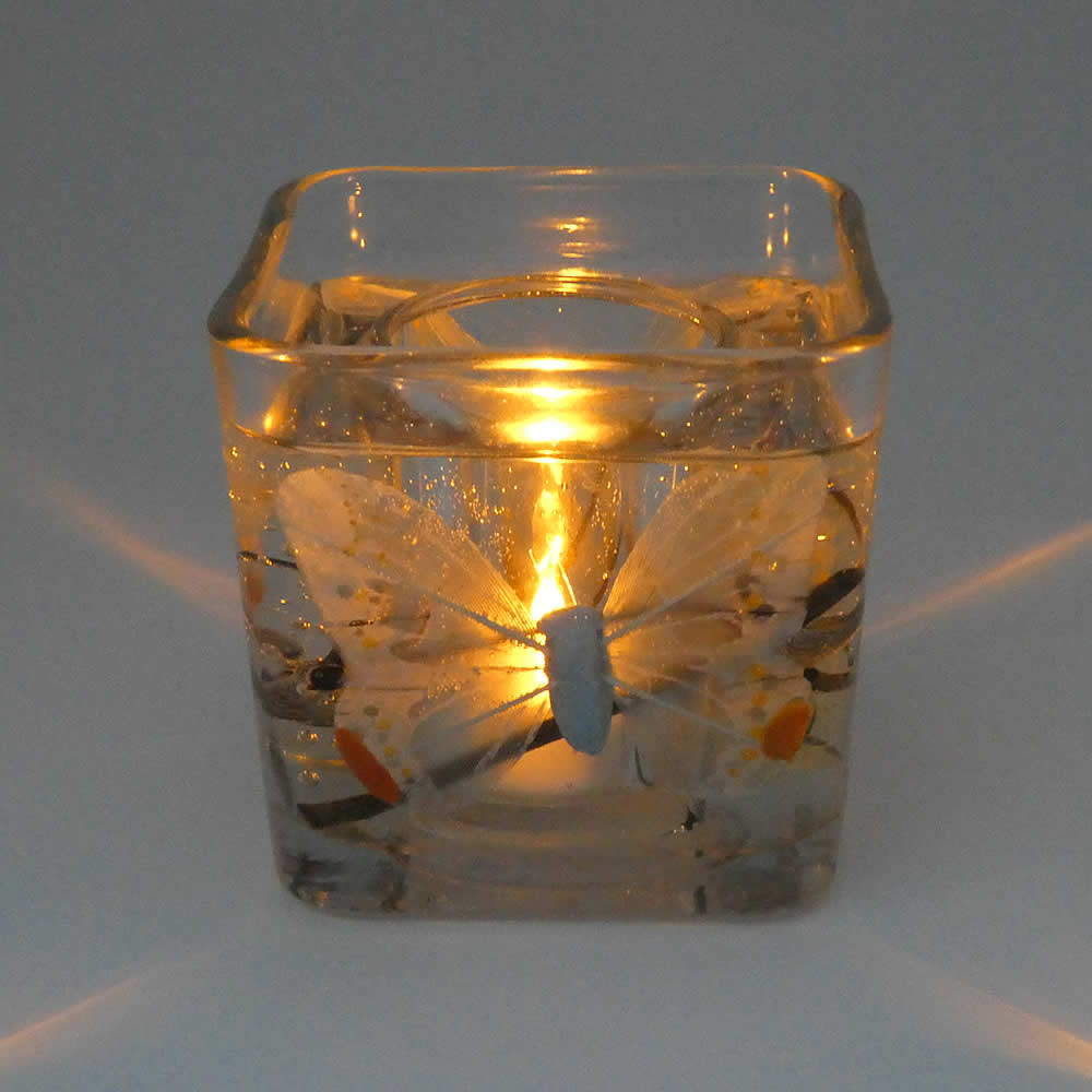 Flameless Baby Blue Butterfly Forever Gel Candle Design - Click Image to Close