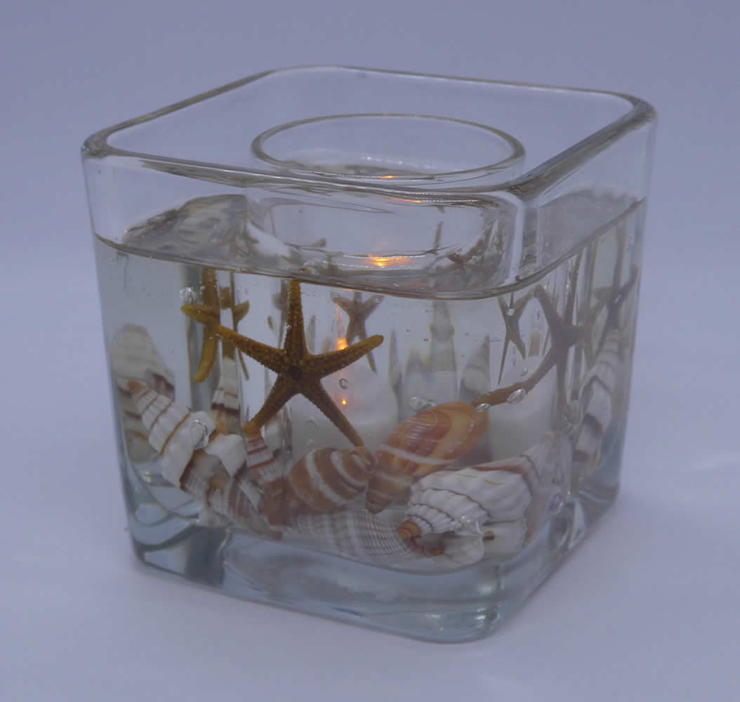 Natural Starfishes Seashells Flameless Forever Candle Glass Cube