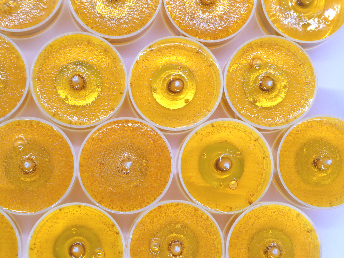 Orange Blossom Scented Gel Candle Tea Lights - 4 pk. - Click Image to Close